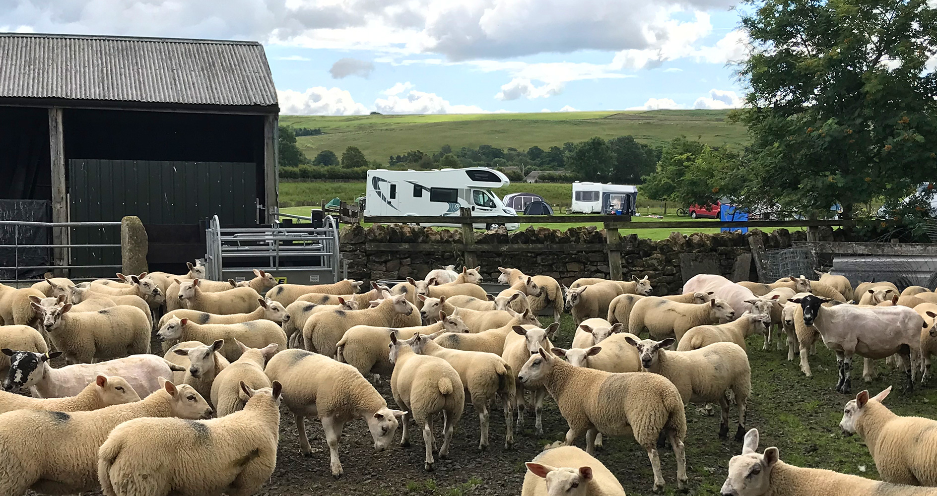 Demense Farm Campsite